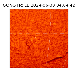 gong - 2024-06-09T04:04:42