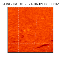 gong - 2024-06-09T08:00:02