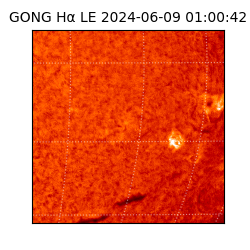 gong - 2024-06-09T01:00:42