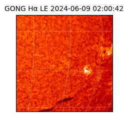 gong - 2024-06-09T02:00:42