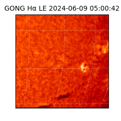 gong - 2024-06-09T05:00:42