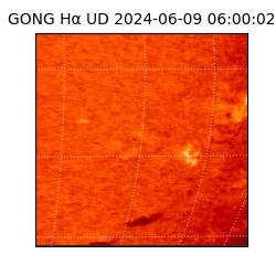 gong - 2024-06-09T06:00:02