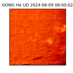 gong - 2024-06-09T08:00:02