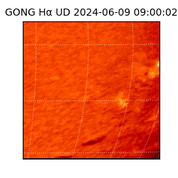 gong - 2024-06-09T09:00:02