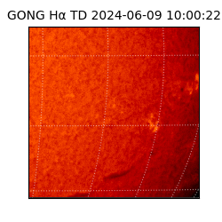 gong - 2024-06-09T10:00:22