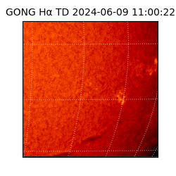 gong - 2024-06-09T11:00:22