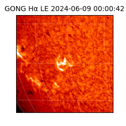 gong - 2024-06-09T00:00:42