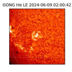 gong - 2024-06-09T02:00:42