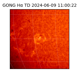 gong - 2024-06-09T11:00:22