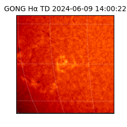 gong - 2024-06-09T14:00:22