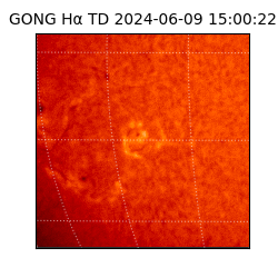 gong - 2024-06-09T15:00:22