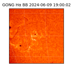 gong - 2024-06-09T19:00:02