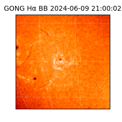 gong - 2024-06-09T21:00:02