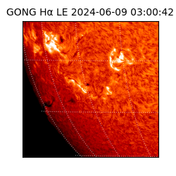 gong - 2024-06-09T03:00:42
