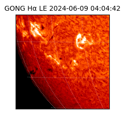 gong - 2024-06-09T04:04:42