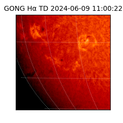 gong - 2024-06-09T11:00:22