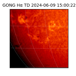 gong - 2024-06-09T15:00:22