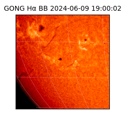 gong - 2024-06-09T19:00:02