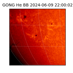 gong - 2024-06-09T22:00:02