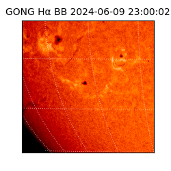 gong - 2024-06-09T23:00:02