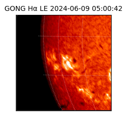 gong - 2024-06-09T05:00:42