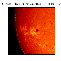 gong - 2024-06-09T19:00:02