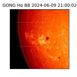gong - 2024-06-09T21:00:02
