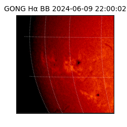 gong - 2024-06-09T22:00:02