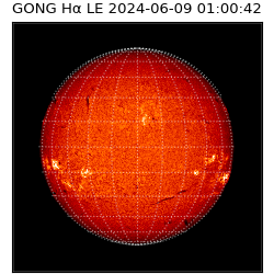 gong - 2024-06-09T01:00:42