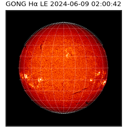 gong - 2024-06-09T02:00:42