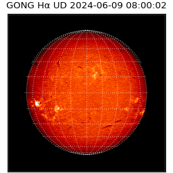 gong - 2024-06-09T08:00:02