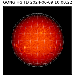 gong - 2024-06-09T10:00:22