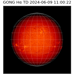 gong - 2024-06-09T11:00:22