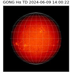 gong - 2024-06-09T14:00:22