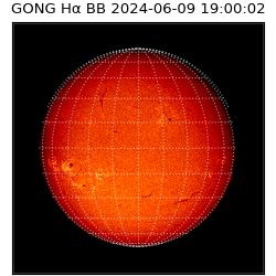 gong - 2024-06-09T19:00:02