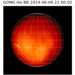 gong - 2024-06-09T21:00:02