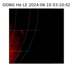 gong - 2024-06-10T03:10:42