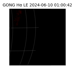 gong - 2024-06-10T01:00:42