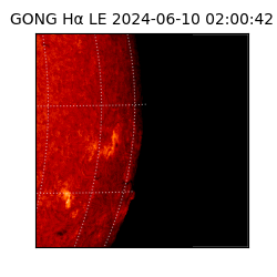 gong - 2024-06-10T02:00:42