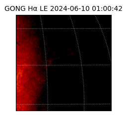 gong - 2024-06-10T01:00:42