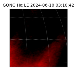 gong - 2024-06-10T03:10:42