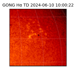 gong - 2024-06-10T10:00:22