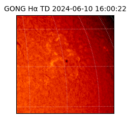 gong - 2024-06-10T16:00:22