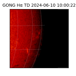 gong - 2024-06-10T10:00:22