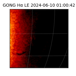 gong - 2024-06-10T01:00:42