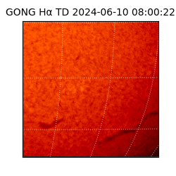 gong - 2024-06-10T08:00:22