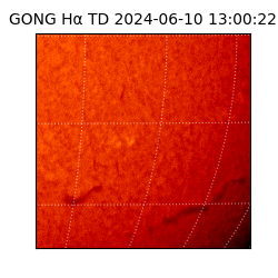 gong - 2024-06-10T13:00:22