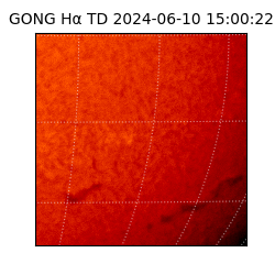 gong - 2024-06-10T15:00:22