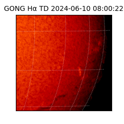 gong - 2024-06-10T08:00:22