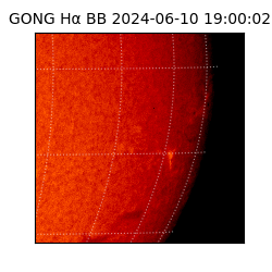 gong - 2024-06-10T19:00:02